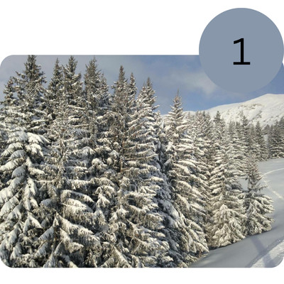 Book Your Initial Assessment