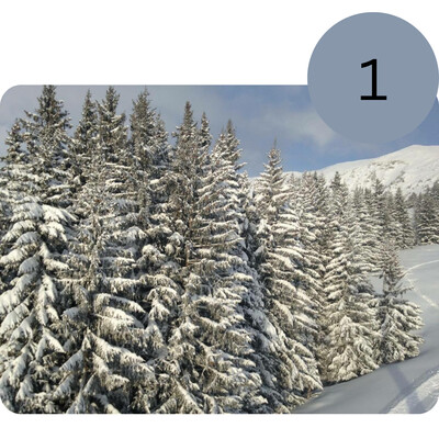 Book Your Initial Assessment